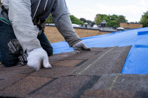 Best Commercial Roofing Services  in Candlewick Lake, IL