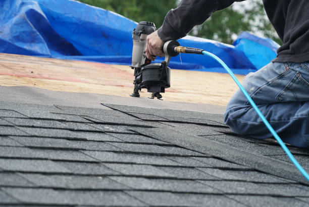 Best Chimney Flashing Repair  in Candlewick Lake, IL
